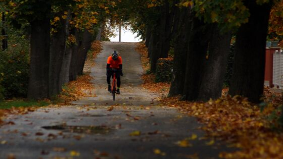 Why Fall is the Perfect Time to Work Towards Your Fitness Goals